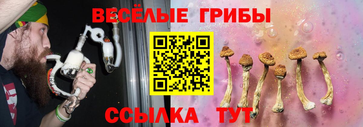 Галлюциногенные грибы Psilocybe  Вход с VPN  купить  сайты  Красноармейск 
